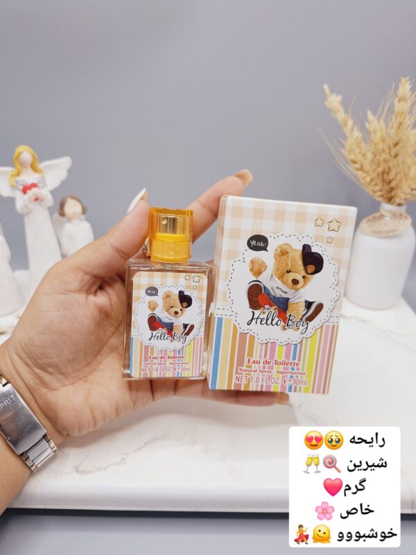 عطر شاد و جذاب تک شاخ برند LADY  IDEA کد LD9107